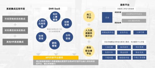 周江华荣获年度数字经济风云人物奖 数字技术服务的创新引领者